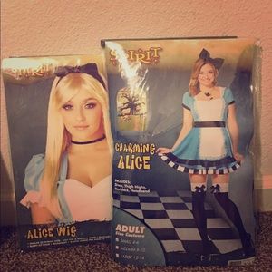 Alice in Wonderland Disney Halloween Dress Costume